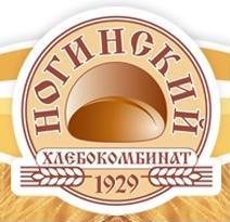 logo-noginsk